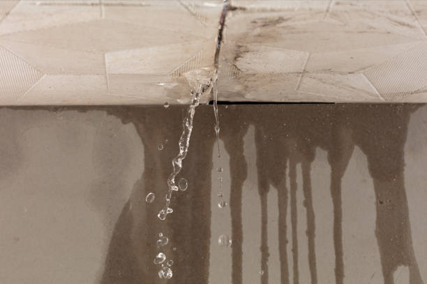 Professional Water Extraction technician working in Pease, MN